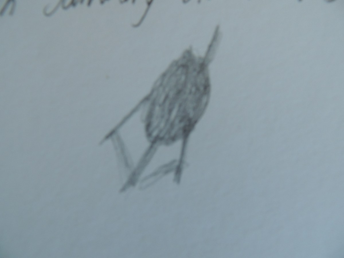 Seeing An Asteroid For the First&nbsp;Time