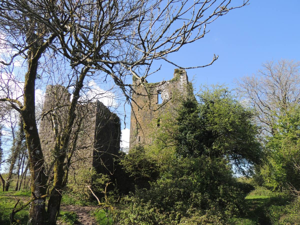 A Most Excellent Cycle To Kilcrea Castle And Ballincollig Regional Park